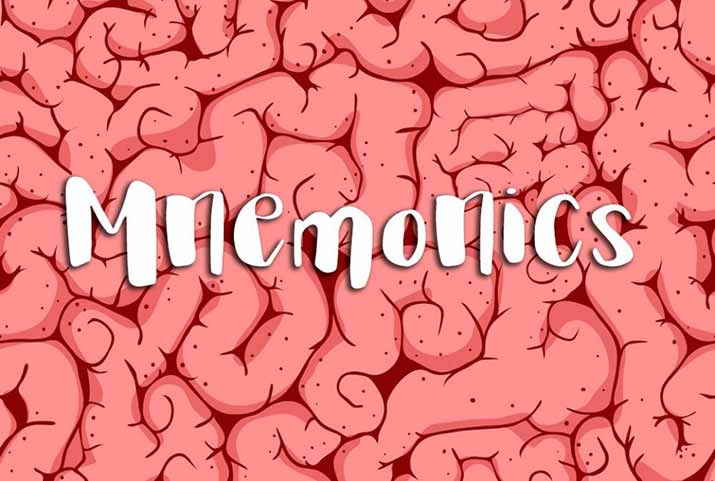 illustration-mnemonics