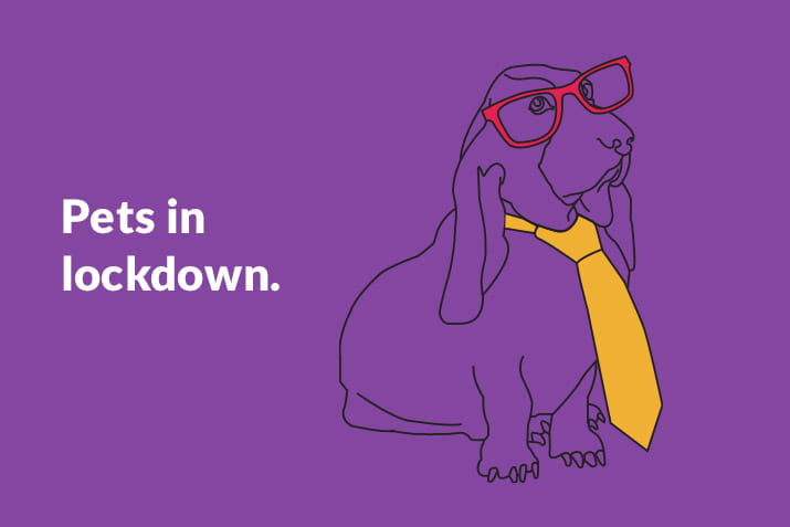 Pets in lockdown blog image BND07720520-pets-post-715x477