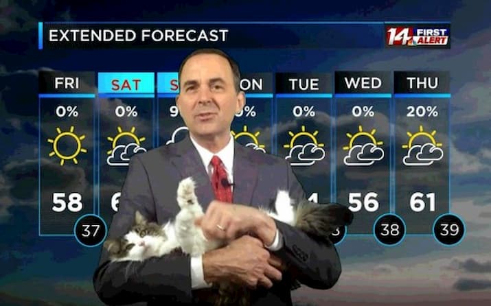 Weather presenter holding cat