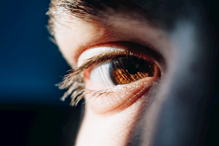 Close up brown eye