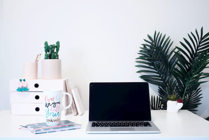 Laptop with desk plant