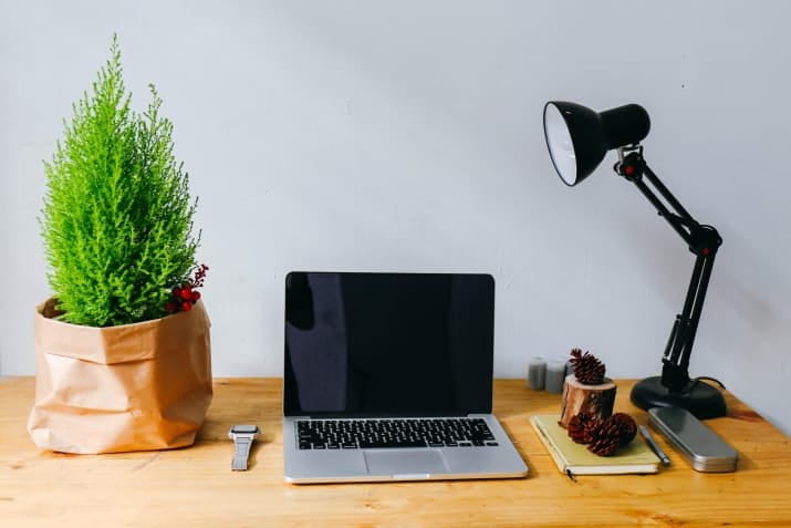 Desk with a plant, laptop and lamp.