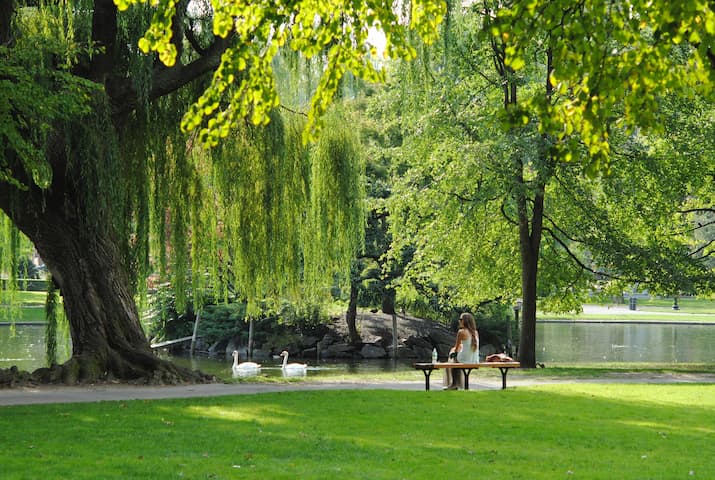 Girl sitting by lake looking out