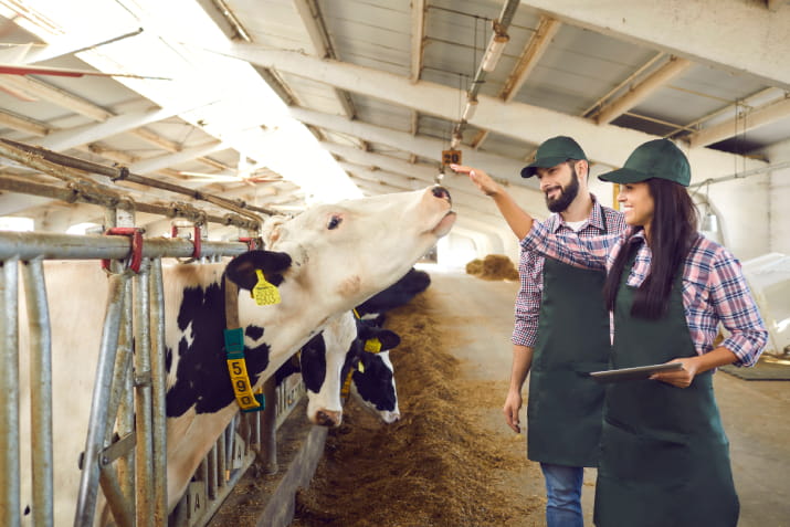 Diverse careers in agriculture